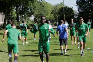 סינטיהו סלליך