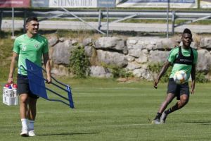 מאוויס צ'יבוטה