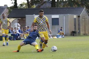 אילון אלמוג