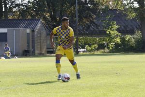 אילון אלמוג