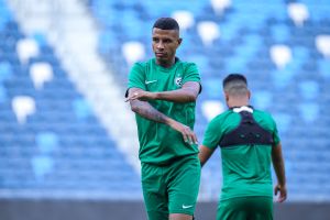 אליסון דוס סנטוס