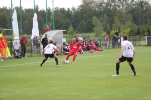 מאור בוזגלו