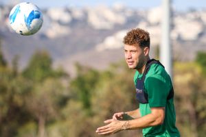 יאניק ווילדסחוט