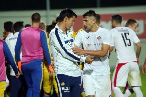 ולדימיר איביץ'