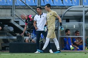 אנדראס יאניוטיס, יואב זיו