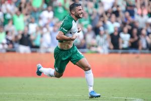 יובל אשכנזי חוגג