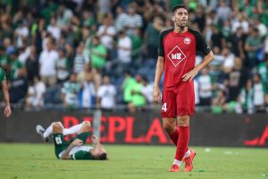 דויד מתיאוס