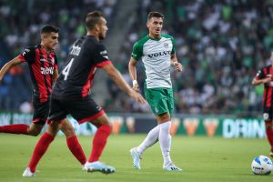 ירדן שועה, דור מלול