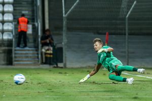 דזיוגאס ברטקוס