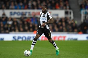 וורנון אניטה