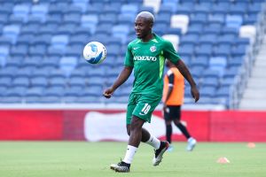 ז'אנדו פוקס