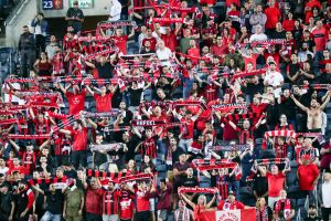 אוהדי הפועל חיפה