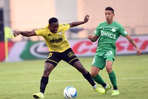 אביב אברהם, אדריאן רוצ'ט