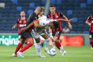 מוחמד אבו פאני, לירן סרדל