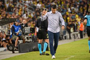 ולדימיר איביץ'