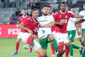 שחר הירש, עופרי ארד