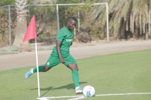 סינטיהו סלליך