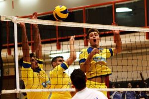 מכבי תל אביב