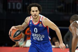 שיין לארקין