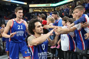 שיין לארקין