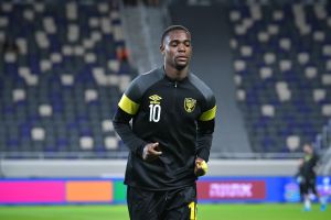 פרדי פלומיין