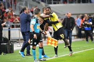 פרדי פלומיין