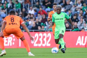 ז'אנדו פוקס