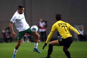 צ'רון שרי, ניקו אולסק