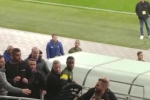 פרדי פלומיין