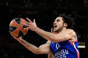 שיין לארקין