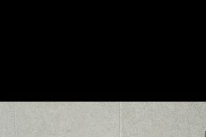 ויטאלי גנון