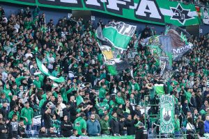 אוהדי מכבי חיפה