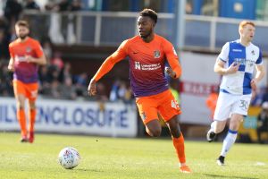 גבולי אריביי