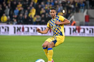 איילון אלמוג