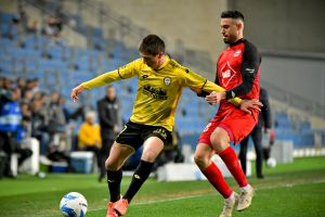 יואב תומר, זלאטן סחוביץ'