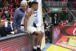 דומיניק ווטרס