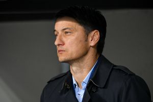 ולדימיר איביץ'