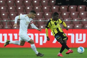 עלי מוחמד, רועי גורדנה