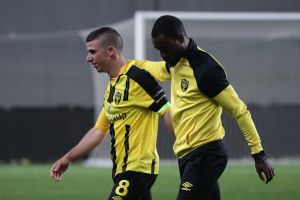 עידן ורד, פרדי פלומיין