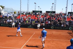 דניאל צוקרמן, יוני ארליך