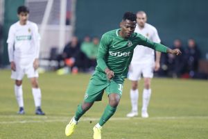 מאוויס צ'יבוטה