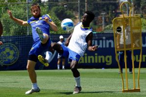 שרן ייני, גייאגון פארפה