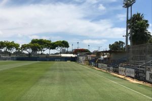 אבשלום ששוני