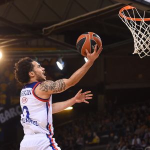 שיין לארקין