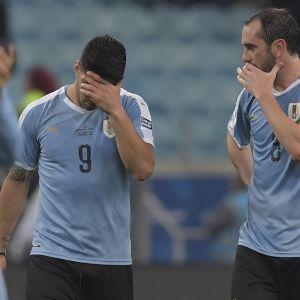 דייגו גודין, לואיס סוארס