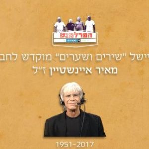 מאיר אינשטיין, שירים ושערים