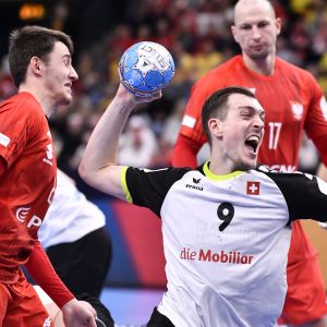 שוויץ פולין