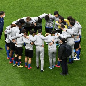 סוואן בלו ווינגס