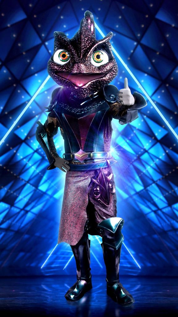 מאור בוזגלו מסתתר מאחורי הזיקית