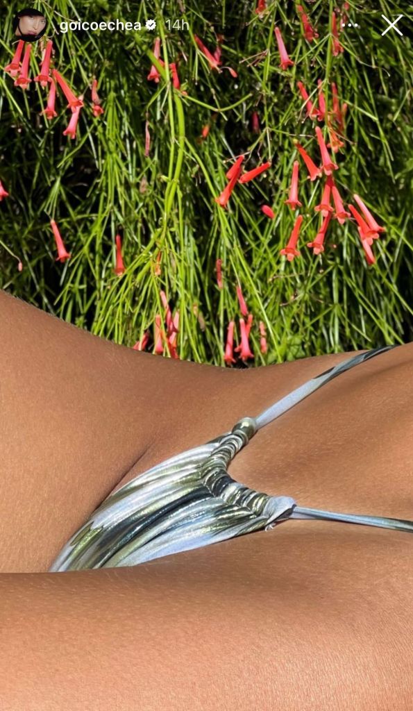 התמונה המדוברת